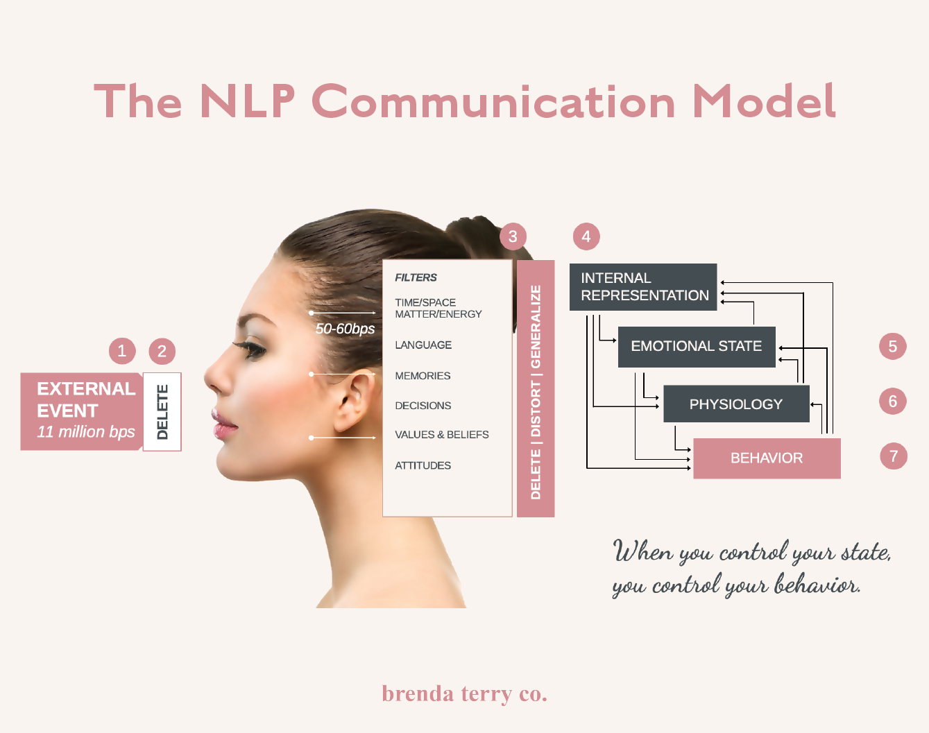 NLP Communication Model